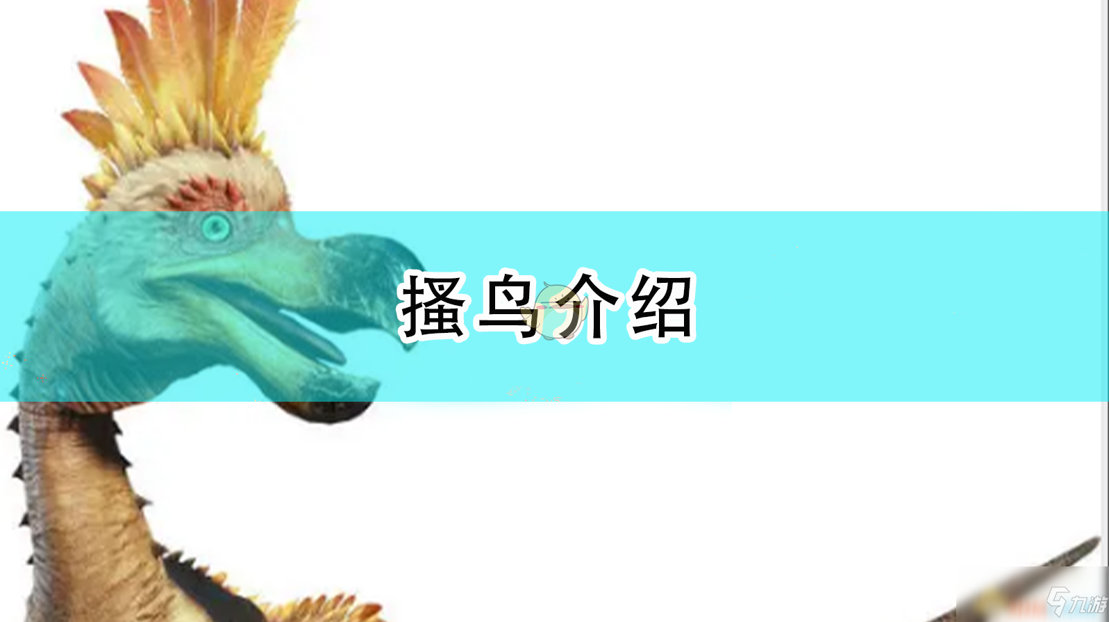 《怪物獵人：崛起》搔鳥介紹