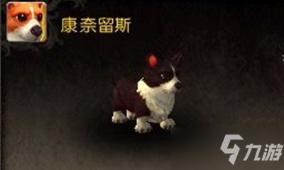 《魔兽世界》宠物康奈留斯获取攻略