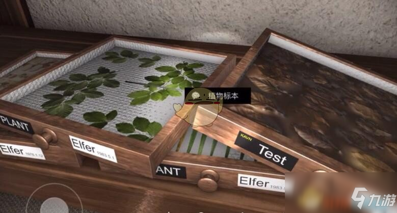《孙美琪疑案12》植物标本在哪 三级线索植物标本位置分享《孙美琪疑案：12》三级线索——植物标本