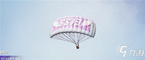 和平精英SS13赛季物品介绍