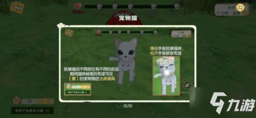 小森生活怎么养猫？小森生活猫咪领养方法