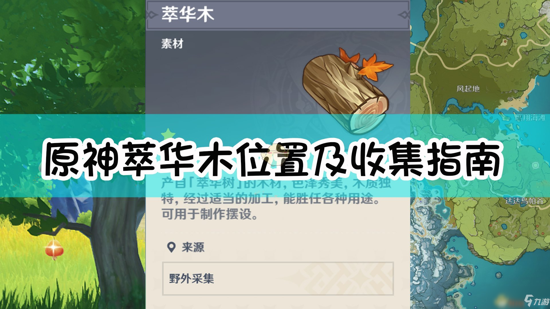 《原神》萃華木怎么采集 萃華木采集教程