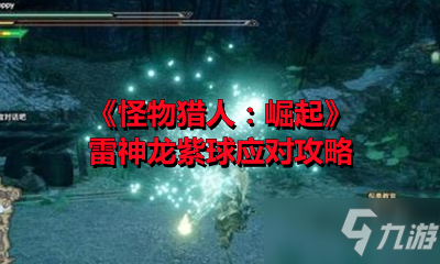 《怪物獵人：崛起》雷神龍紫球應對攻略