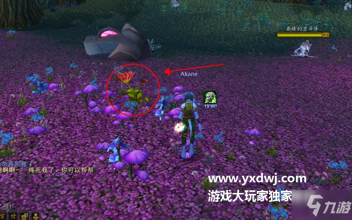 tbc怀旧服跑腿采花任务怎么做？魔兽世界被污染的花朵在哪？