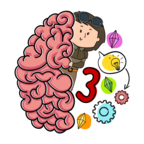 大脑3