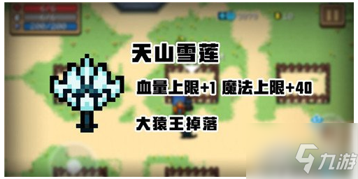 《元气骑士》天山雪莲作用一览 天山雪莲作用是什么