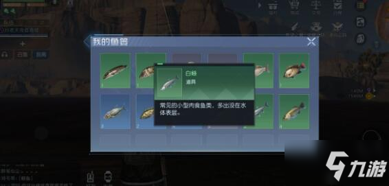 黎明覺醒黑魚/黑鱸/鳙魚垂釣位置一覽