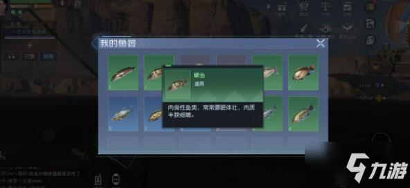 黎明覺醒黑魚/黑鱸/鳙魚垂釣位置一覽