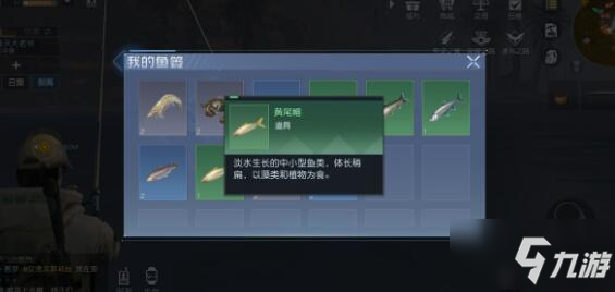 黎明覺醒黑魚/黑鱸/鳙魚垂釣位置一覽