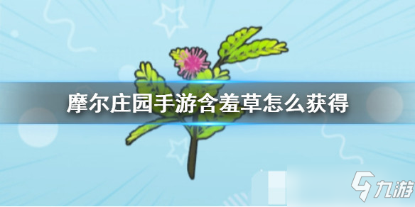 摩尔庄园手游全植物图鉴 全植物获取方式及属性详解