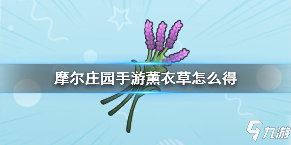 摩尔庄园手游全植物图鉴 全植物获取方式及属性详解