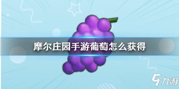 摩尔庄园手游全植物图鉴 全植物获取方式及属性详解