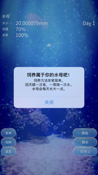 养育水母的治愈截图4