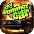 NewMySummerCarClue