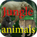 SoundsofJungle