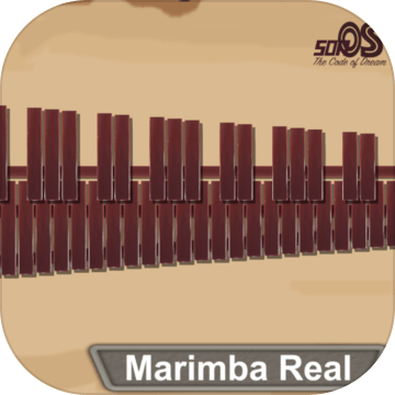 MarimbaXylophoneVibraphoneReal加速器