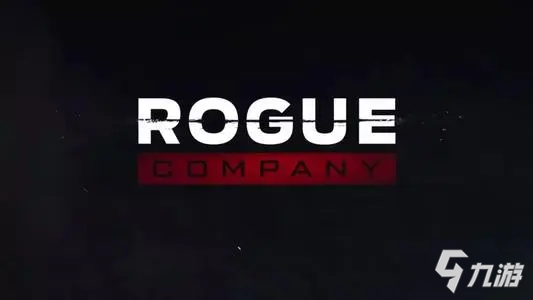 《Rogue Company》游戲配置圖文教程表