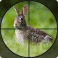 兔子狩猎模拟器加速器