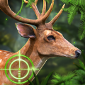 猎鹿动物狩猎加速器