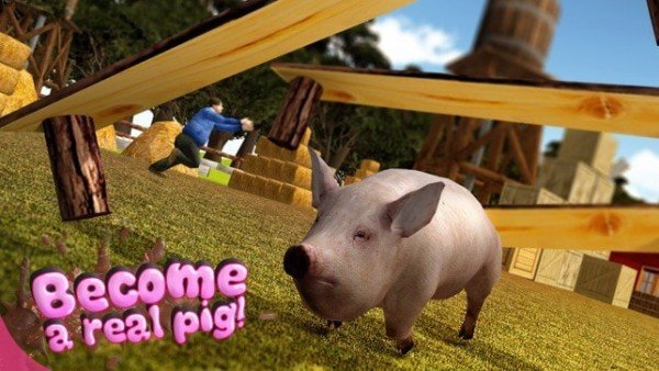 猪猪好玩吗 猪猪玩法简介