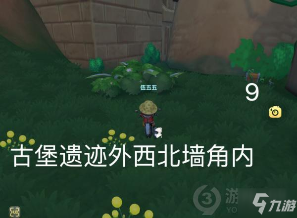 摩爾莊園手游7.20黑森林寶箱在哪 7.20黑森林寶箱位置攻略