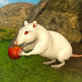 超级老鼠2020游戏图标