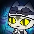 猫闪光加速器