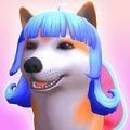 GroomerRun3D加速器