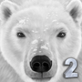 北极熊2