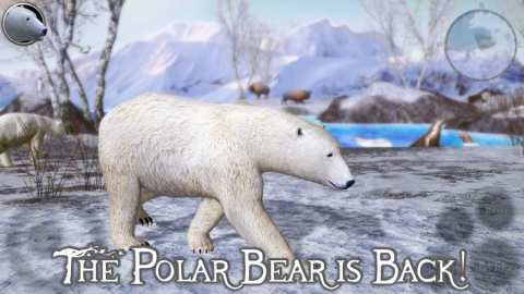 北极熊2截图3