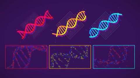 无主之地3科学截图2