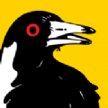 SwoopyBoi加速器