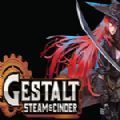 GestaltSteamCinder加速器