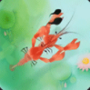 虾大战蝌蚪