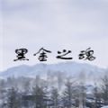 黑金之魂加速器