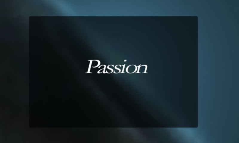 Passion好玩吗 Passion玩法简介