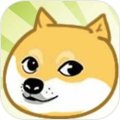 沖撞doge