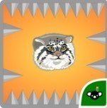 PallasCat