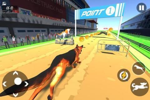 狗赛跑截图2