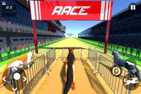 狗赛跑截图