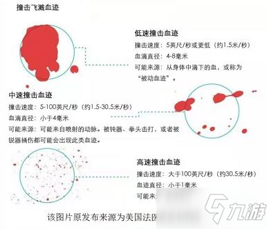 《犯罪大師》血跡勘察篇答案真相一覽