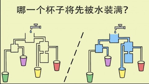 简单大脑训练截图1