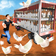 公鸡养殖场加速器