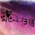 魂之归宿加速器