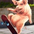 滑板猪