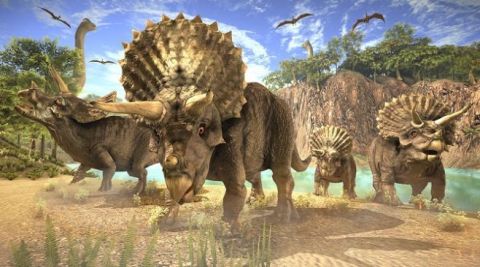 侏罗纪世界恐龙猎人3D截图2