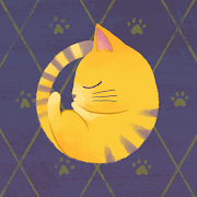 猫咪分类加速器