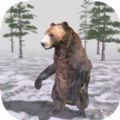 熊森林3D