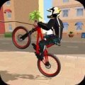 BMX自行車滑輪