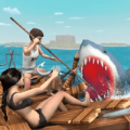 鲨鱼木筏的生存